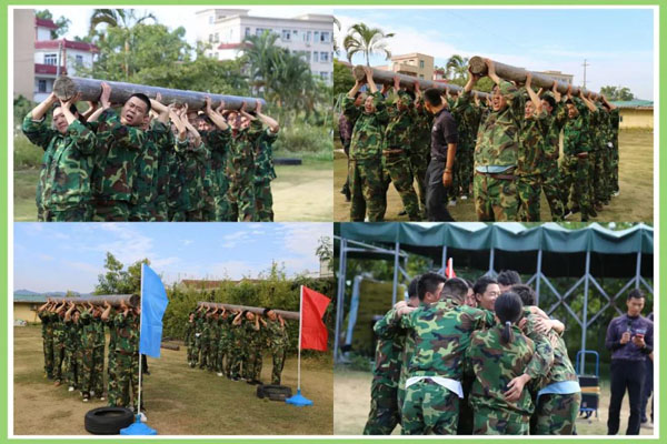 牛宝体育官网新能源_厚积薄发_赢胜2021(图10)