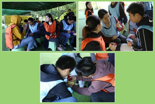 牛宝体育官网新能源_厚积薄发_赢胜2021(图16)